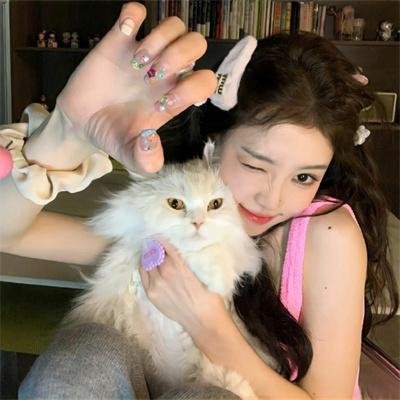 解放4：柏林之战